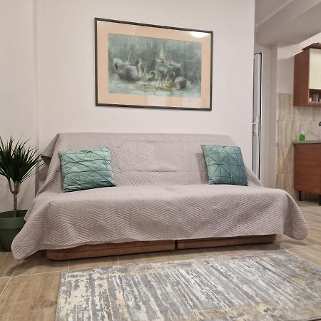 Laroka House Beautiful Apartment Universitate Center Bükreş Dış mekan fotoğraf